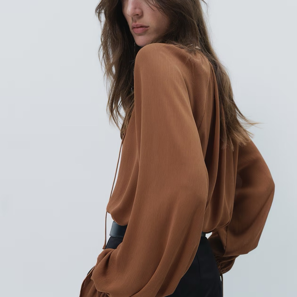 H&M Brown Ruffle Blouse - Picture 3 of 10